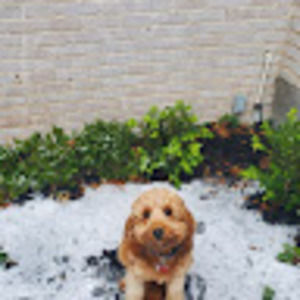 Meet your Posher, Caoimhe